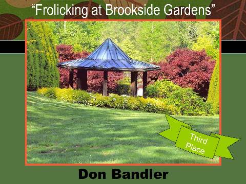 Frolicking at Brookside Gardens