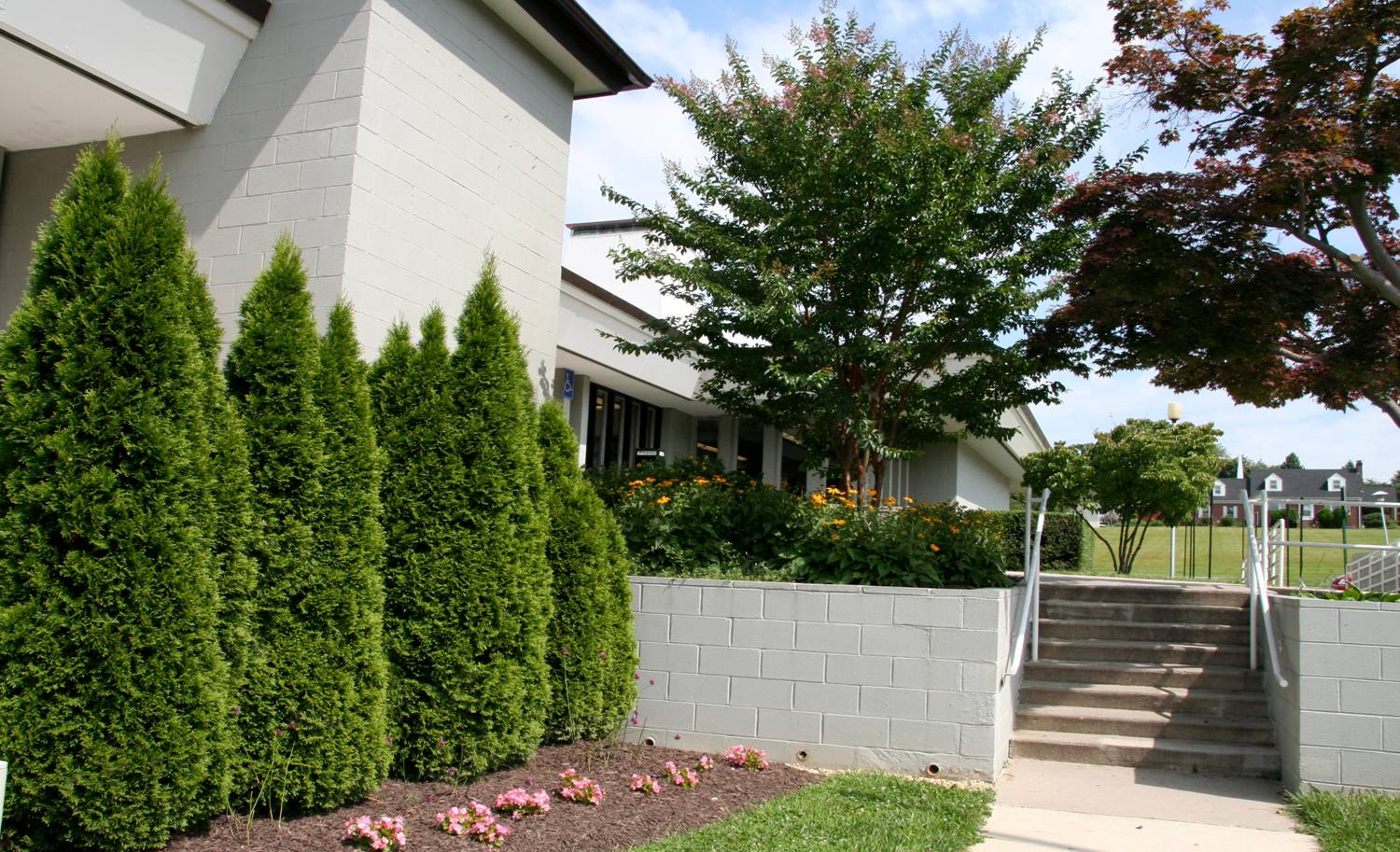 Aspen Hill Library Gardens