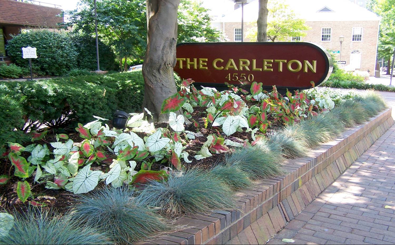 The Carleton, Ruppert Nurseries