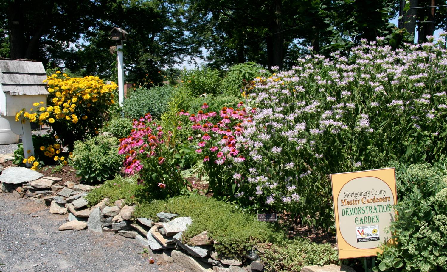 Master Gardeners Bay Wide Gardeners