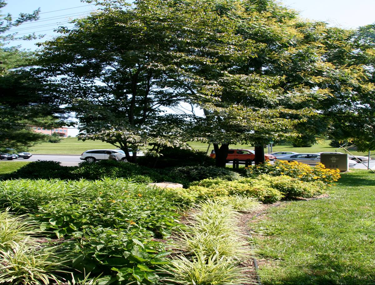 Rockshire Entranceway, Rockshire Garden Club