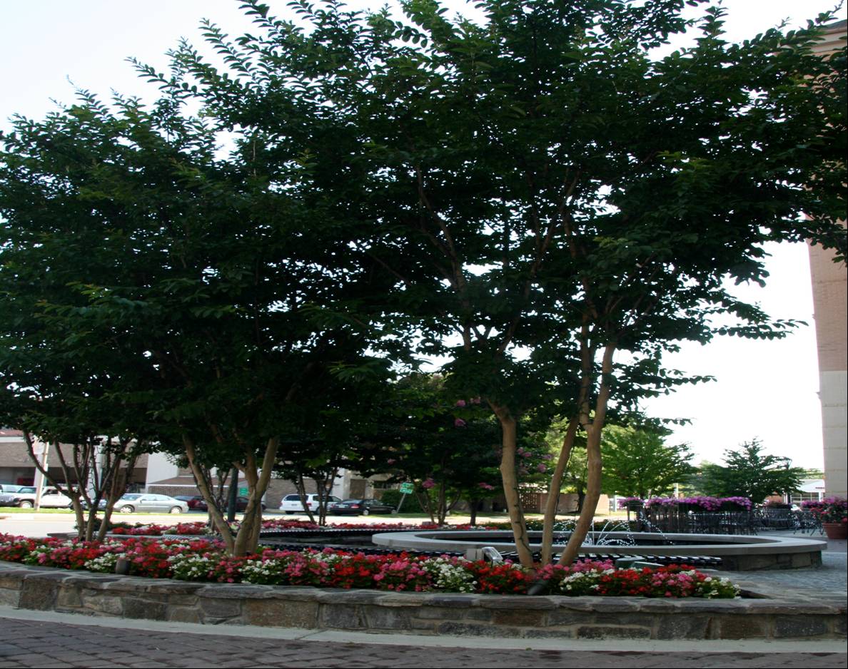 Rockville Town Square