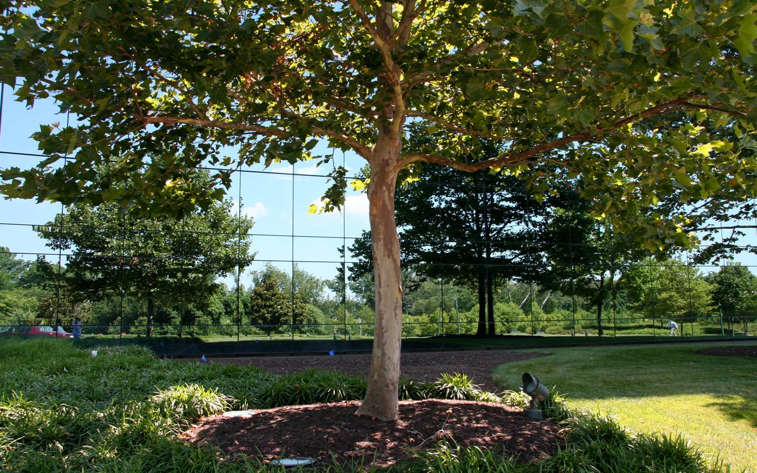 Human Genome Sciences