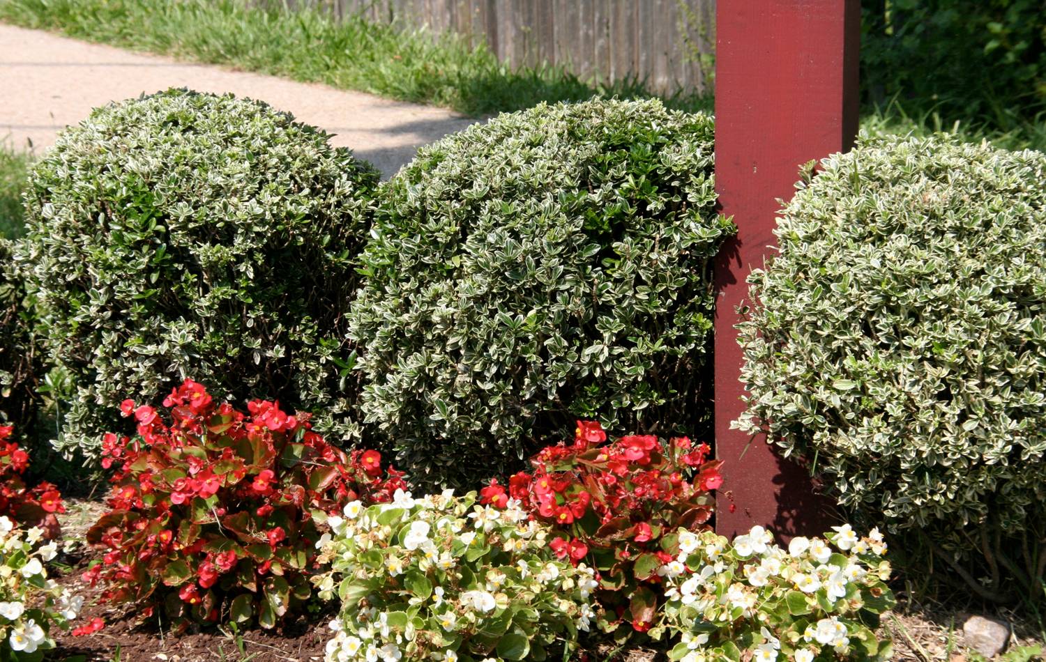 Wheaton Forest Civic Association