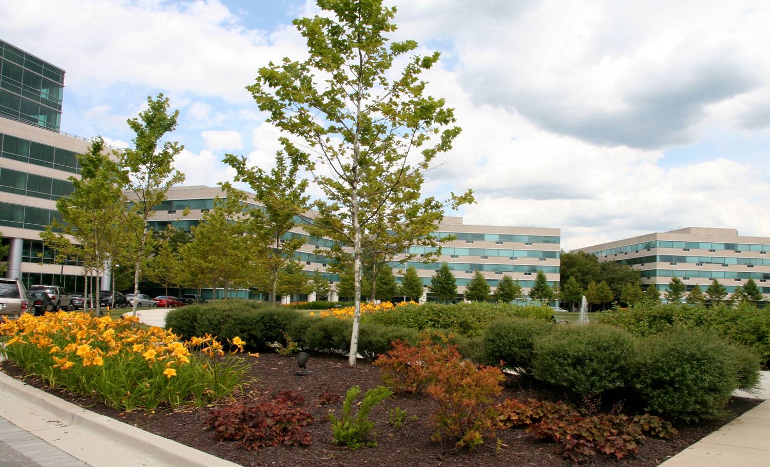 Capital Gateway, Ruppert Landscape