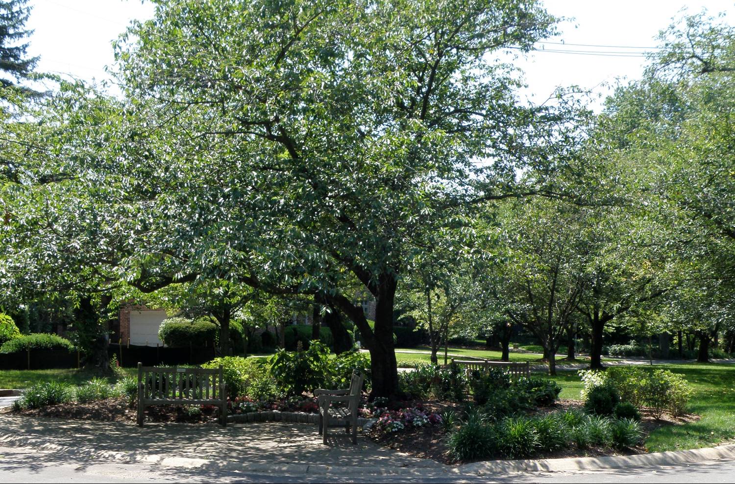 Kenwood Pocket Park, Kenwood Garden Club