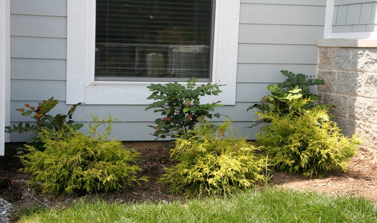 KidzCare USA, Inc., MC Men's Emergency Shelter