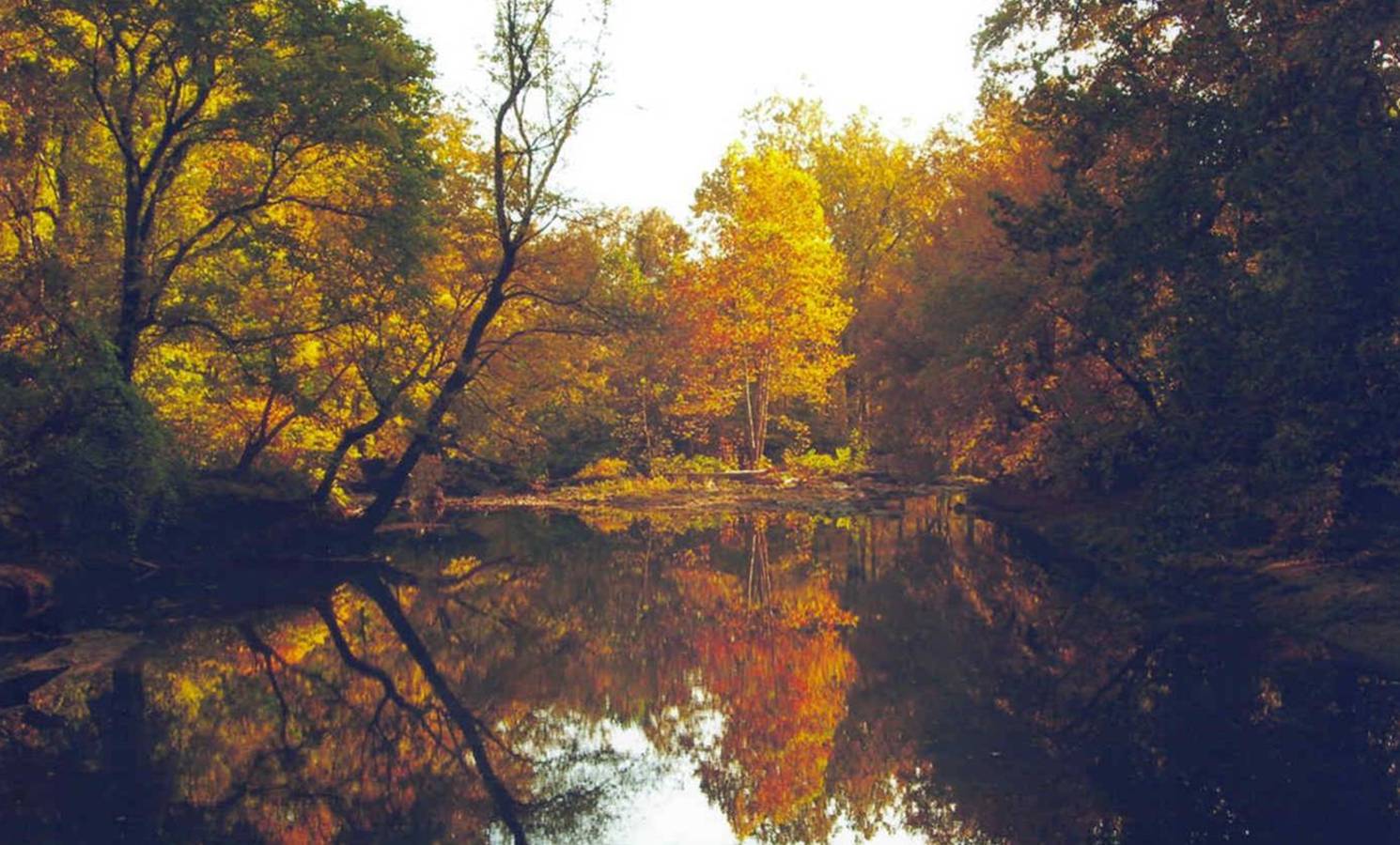 Potomac in Autumn