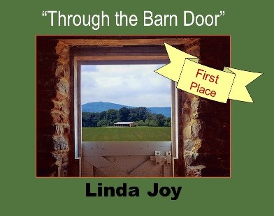 1ST Place Winner By Day