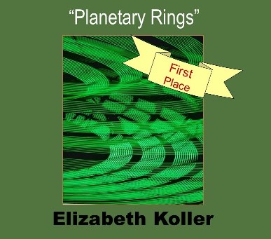 1ST Place Winner By Night