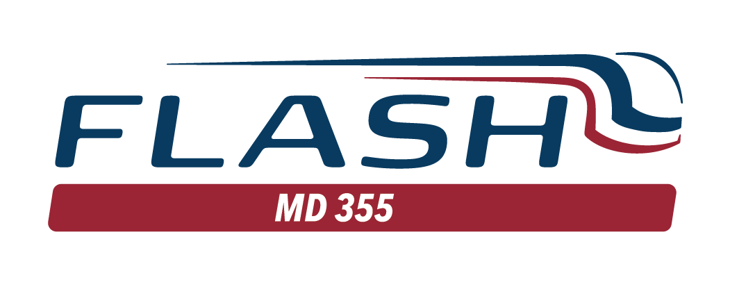 Flash 355 Logo