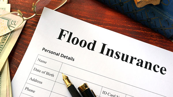 flood insurance document