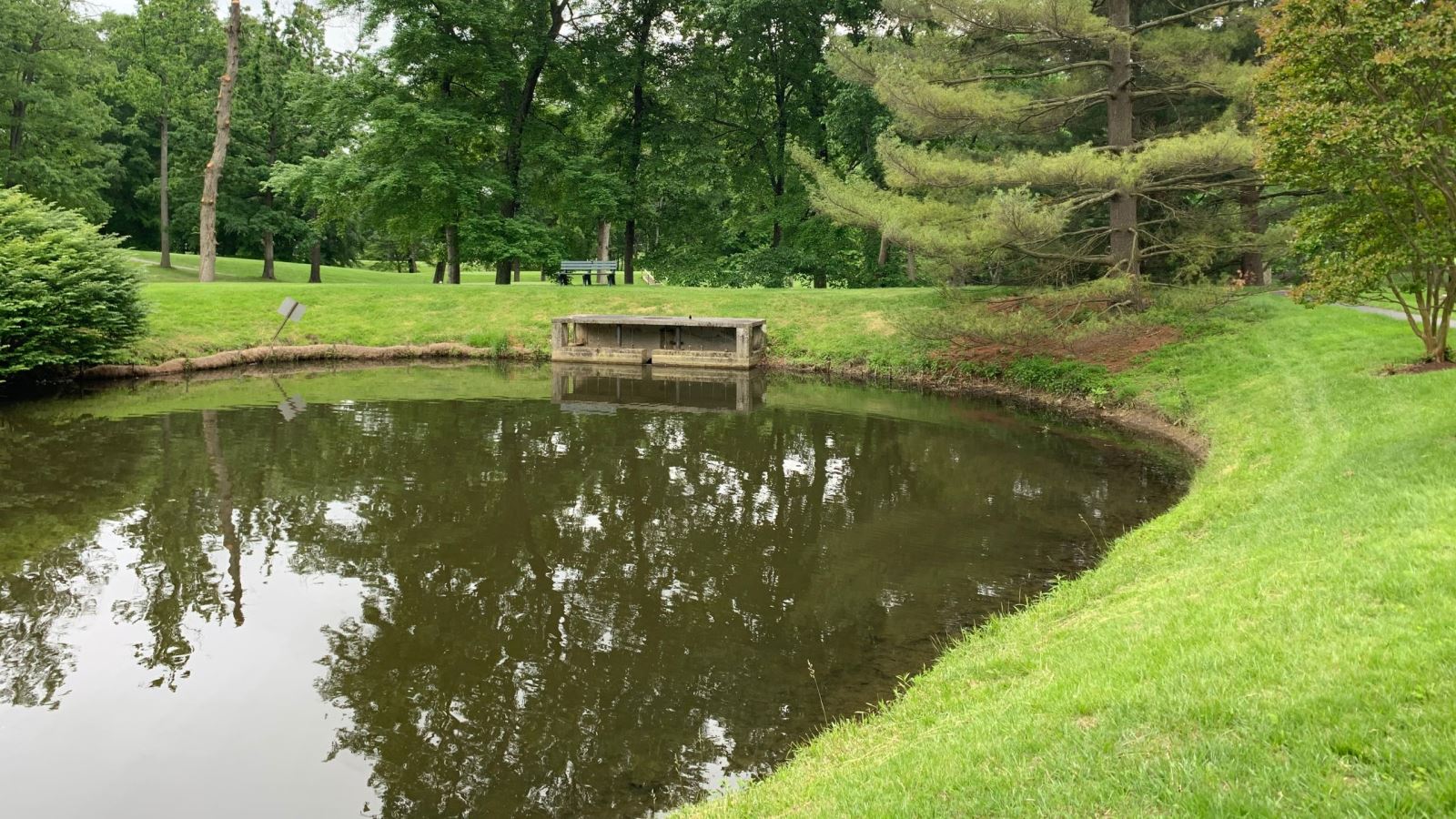Small stormwater management facility in a pong surrounded by trees and green grass.