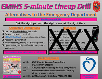 Thumbnail of Alternative Destinations document