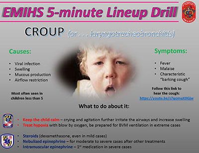 Thumbnail of Croup document