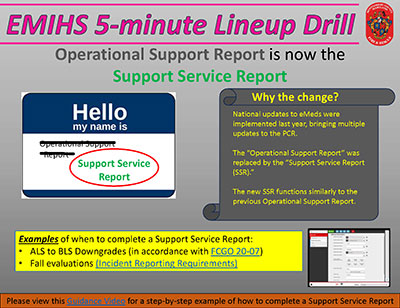 Thumbnail of EMS Support Services Report Process document