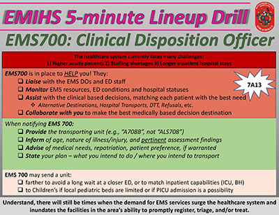 Thumbnail of EMS700 document