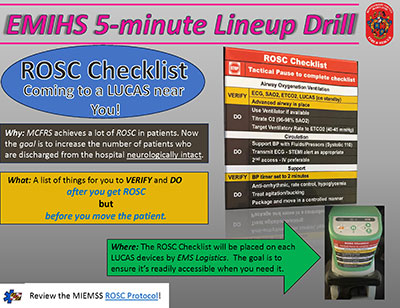Thumbnail of Return of Spontaneous Circulation Checklist document