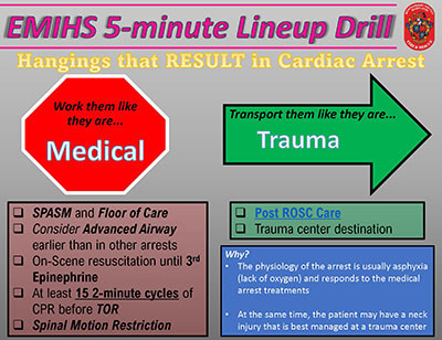 Thumbnail of Cardiac Arrest After Hanging document