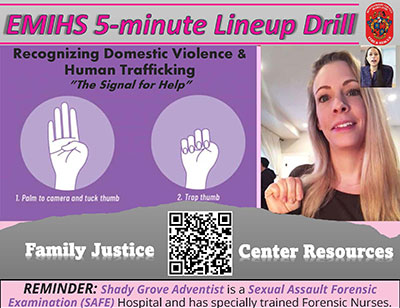 Thumbnail of Domestic Violence document