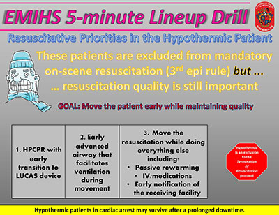 Thumbnail of Hypothermic Arrest Part 2 document