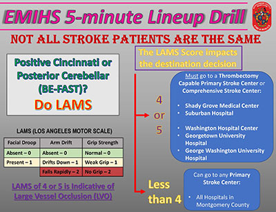 Thumbnail of Not All Stroke Patients Are the Same document
