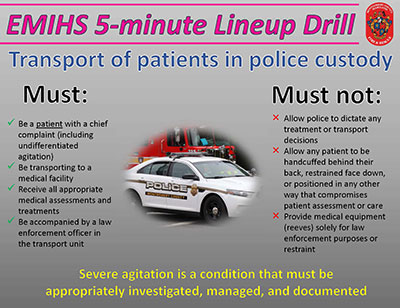 Thumbnail of Patients in Police Custody document