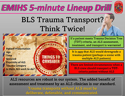 Thumbnail of Trauma Transports document
