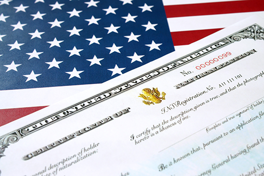 Citizenship information and resources