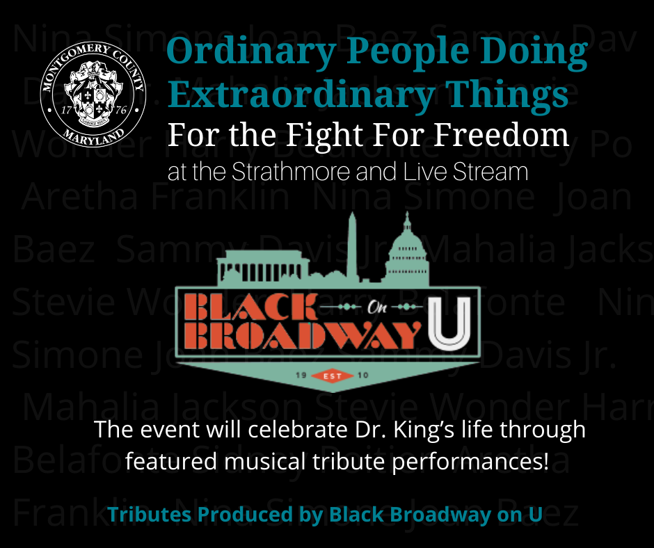 ordinary people doing extraordinary things for the fight for freedom