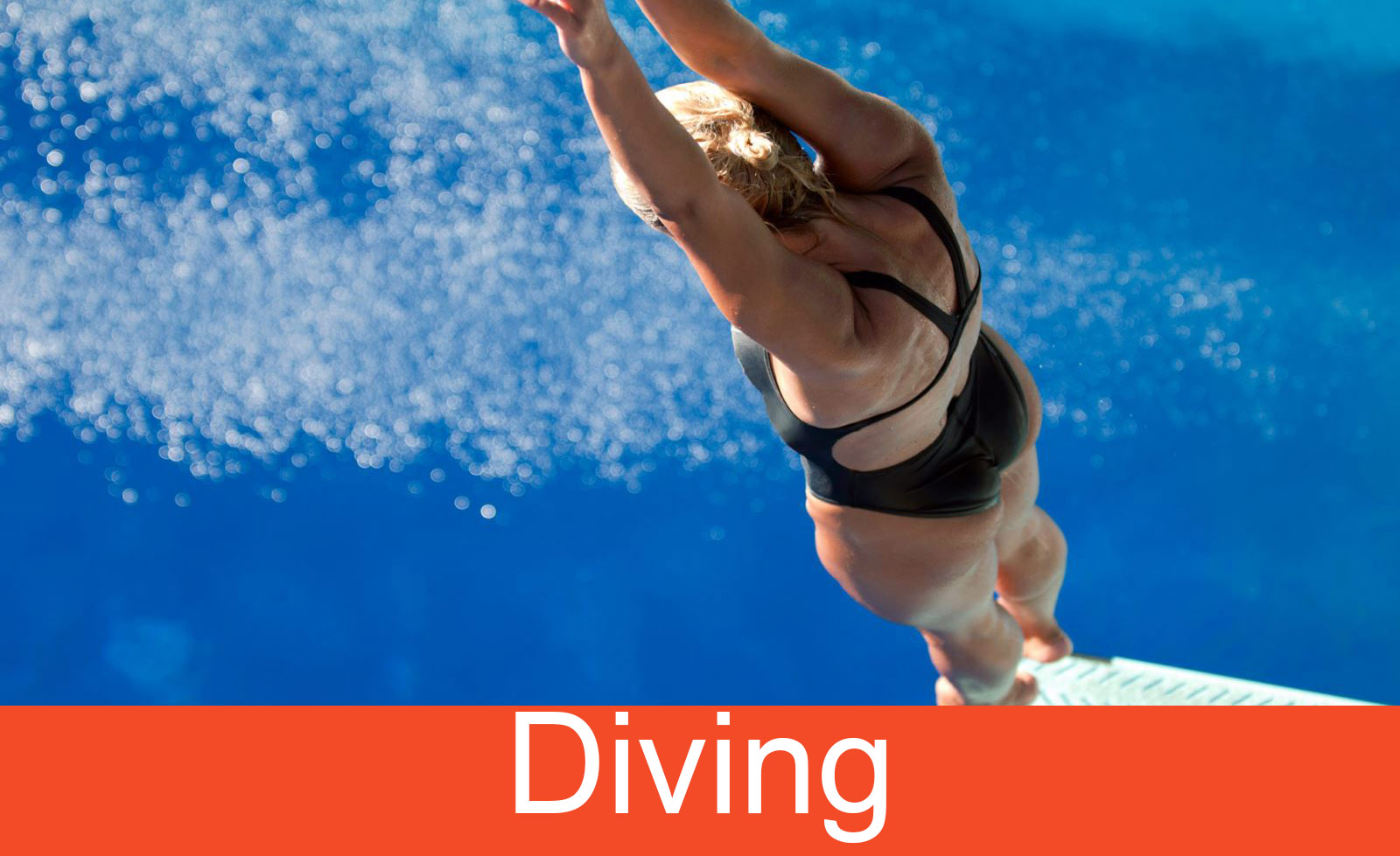 Diving Programs