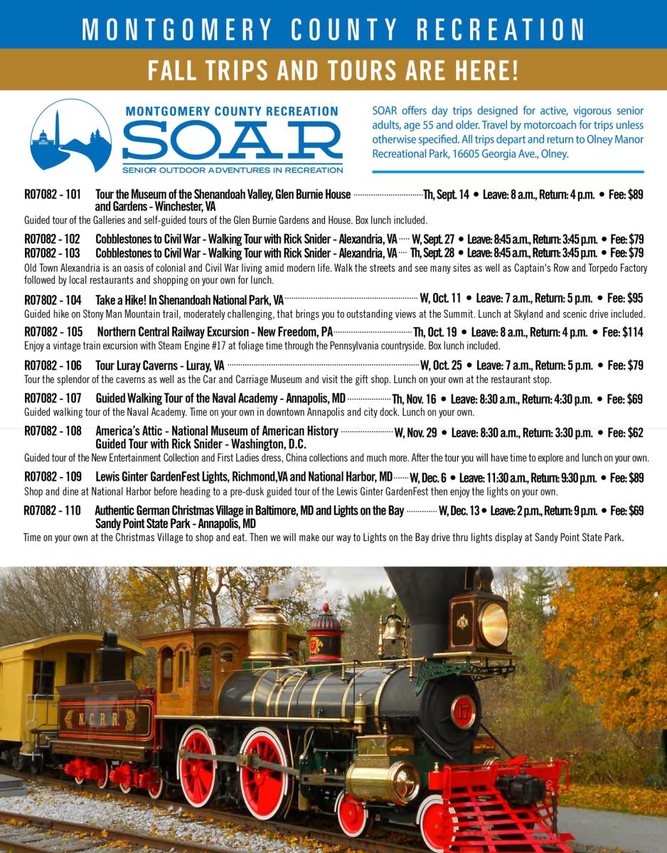 SOAR and Daytrippers Brochure Fall 2023